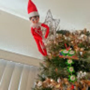 Meet your Posher, Susan